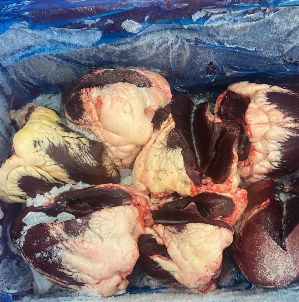 Frozen beef hearts