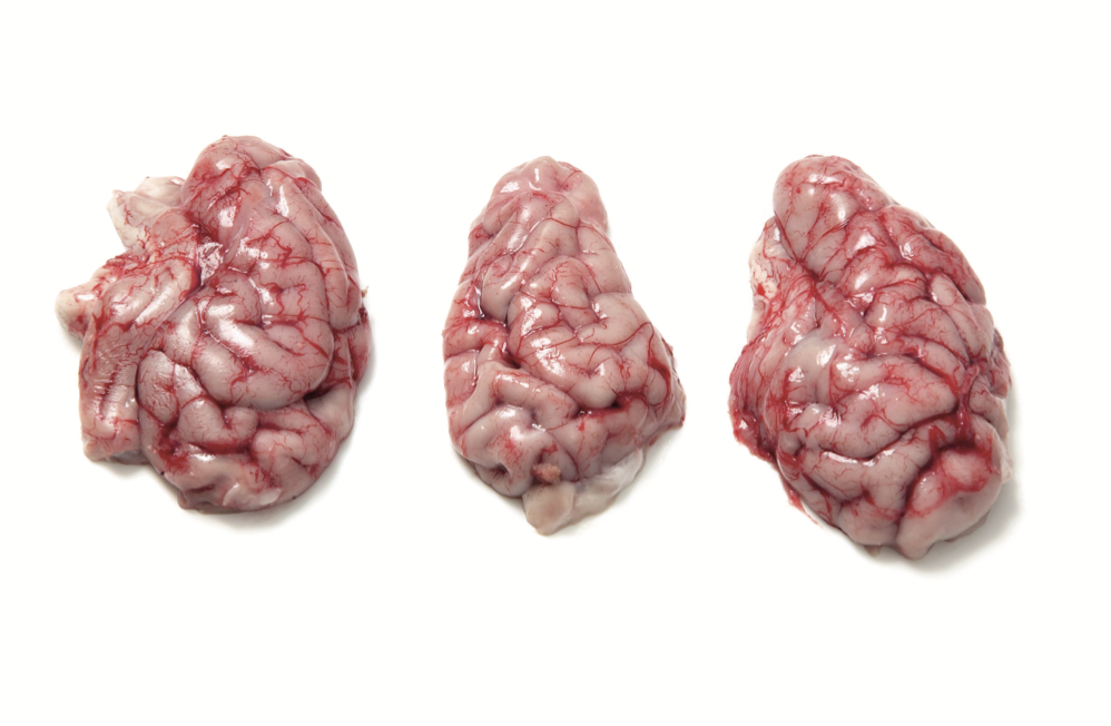 Pork brain