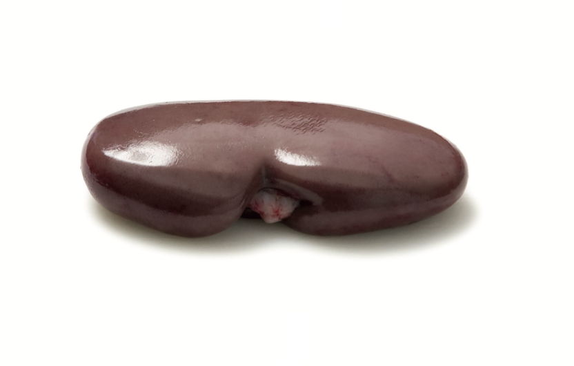 Pork kidney