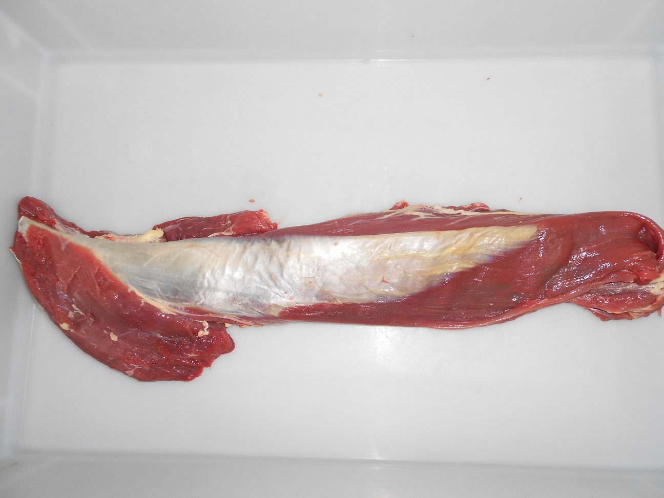 TENDERLOIN CHAIN OFF 15,10 EURO EXW 