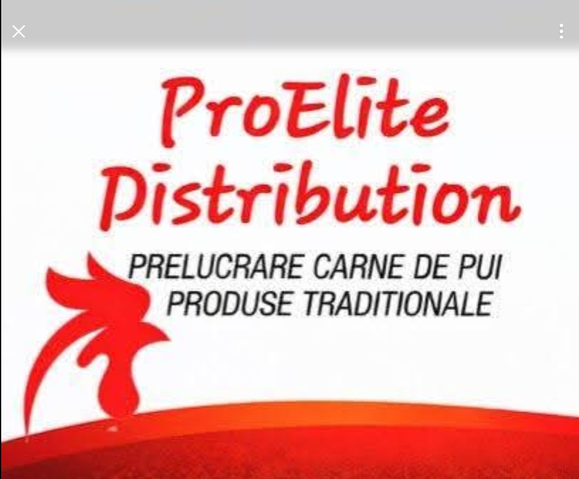 PRO ELITE DISTRIBUTION SRL