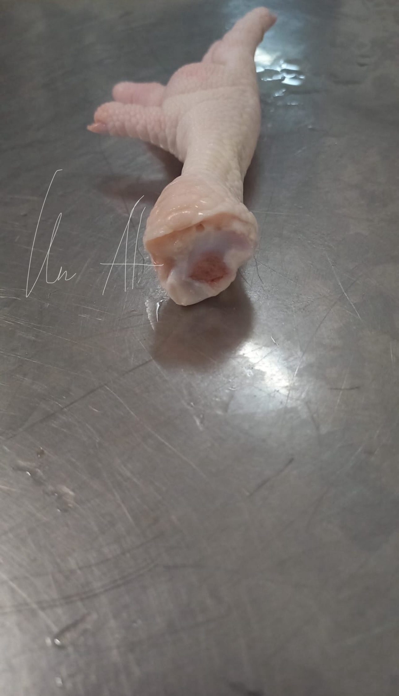 大爪 _ FROZEN CHICKEN FEET